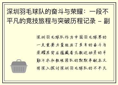 深圳羽毛球队的奋斗与荣耀：一段不平凡的竞技旅程与突破历程记录 - 副本